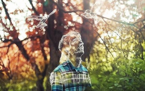 A transparent man with birds in a forest. 