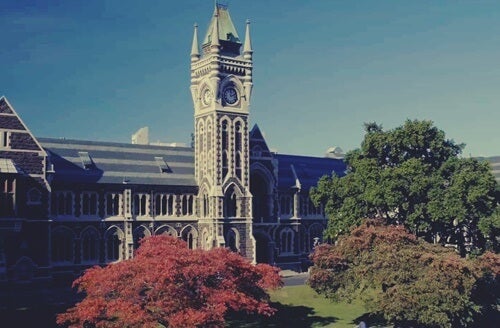 A university much like the one where Wolfgang Köhler taught.