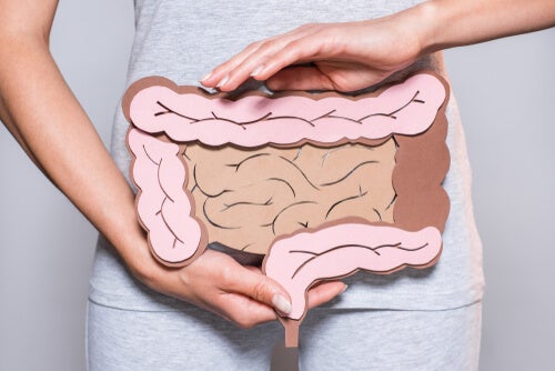 Mental Digestion: A Possible Source of Intestinal Problems