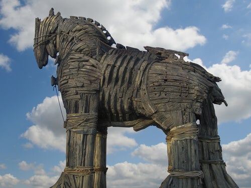 A Troyan horse.