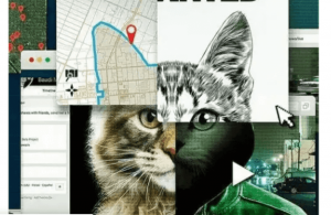 Don't F**k with Cats: Hunting an Internet Killer