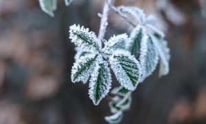 How to Deal with an Alexithymic Person