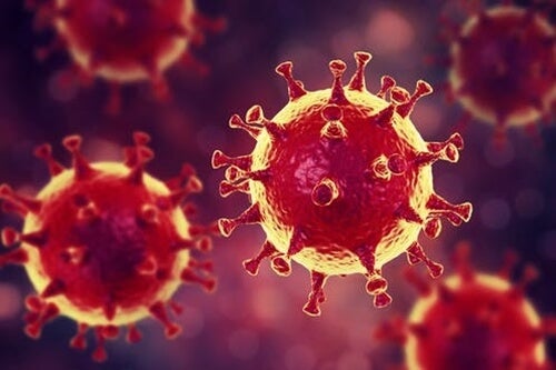 Psychological Advice Regarding Coronavirus: Antidotes to Avoid Panic