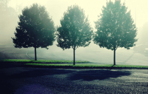 Three Escape Routes that Feed Your Anxiety