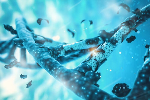 An image of some genes.