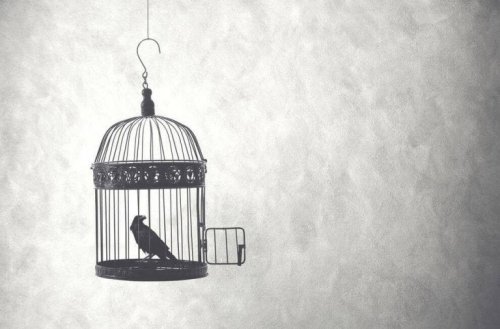 A bird in a cage with the door open.