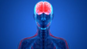 Biological Psychiatry: Unlocking the Nervous System