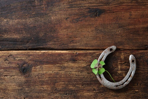A horseshoe and a four leaf clover.