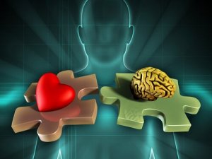 The Neuroanatomy of Emotions: The Limbic System