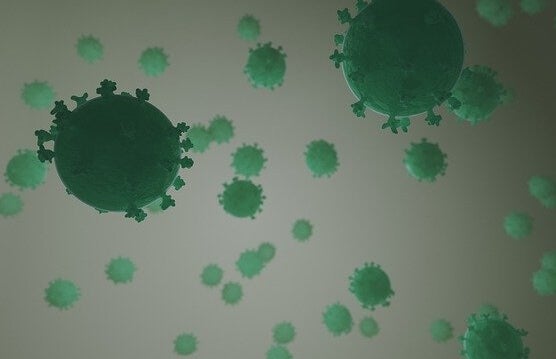 A virus.