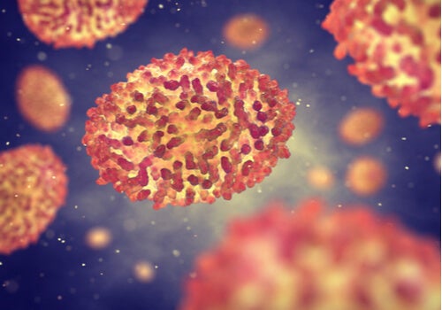 Some viruses.