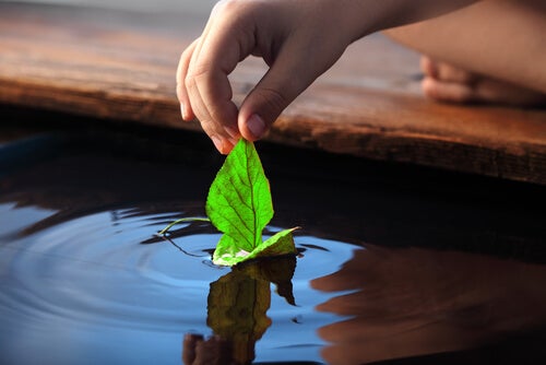 A child playing with a leaf by the water.
