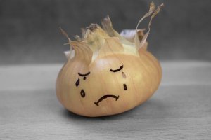 The Heart of an Onion - A Story about Justice