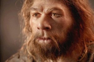 The Neanderthal Brain (Homo Neanderthalensis)