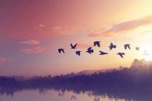 Seven Interesting Terence Quotes