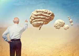 The Neuropsychology of Aging
