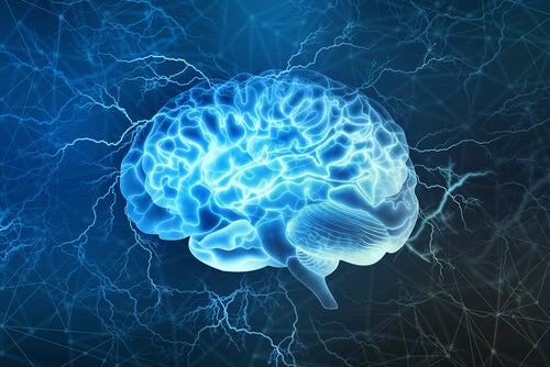 The Neurological Effects of Coronavirus: the Latest Discoveries