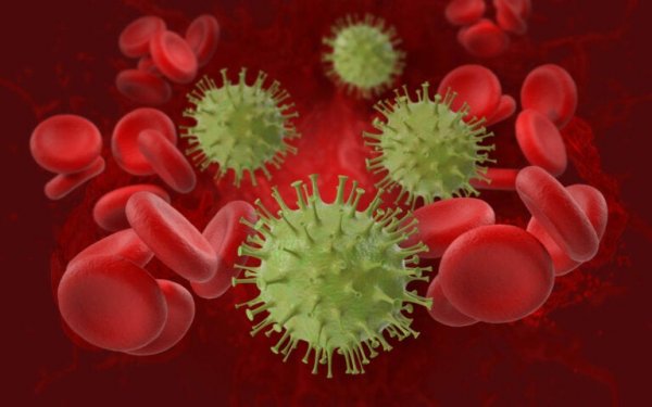 The coronavirus.