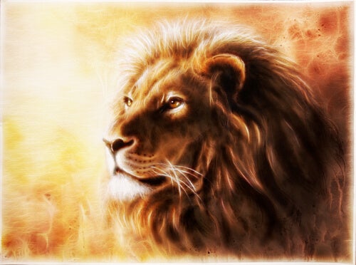 A picture of a lion.