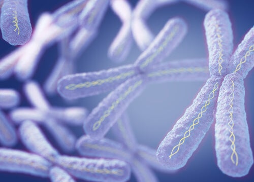 Several floating X chromosomes.