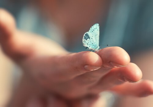 A hand with a butterfly.