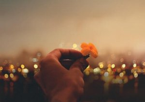 Viktor Frankl's Sayings: Love, Meaning, and Courage