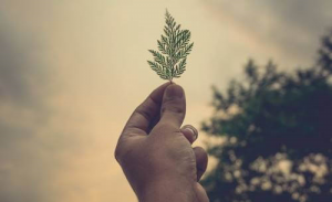 This Is What You Can Do to Help during Lockdown