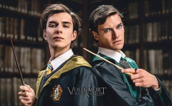 A Harry Potter spinoff.