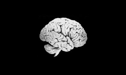A brain suspended in space.