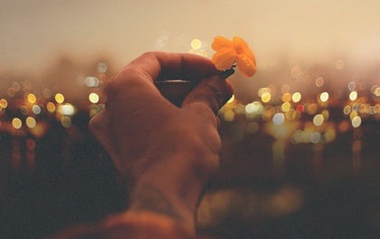 A hand holding a flower.