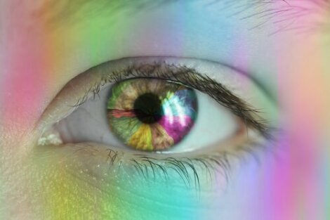Color Vision in Humans - How Does It Work?