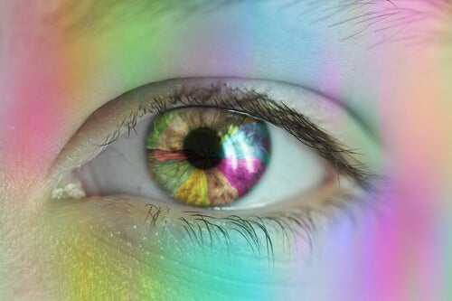 Color Vision in Humans - How Does It Work?