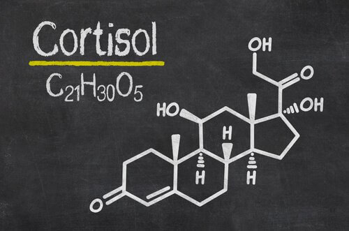 The chemical formula for cortisol which explains some of the neurobiology of trauma.