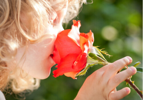 A child smelling a rose.
