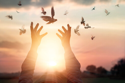 Some hands and some birds.