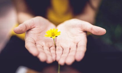 5 Sayings to Start a New Chapter with Hope