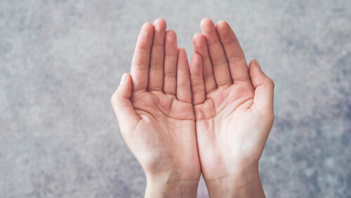 The palms of two hands.