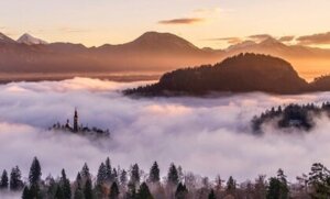 "It's Called Calm": A Poem for Reflection from the Dalai Lama