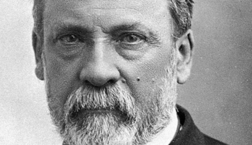 Louis Pasteur: His Life and Legacy