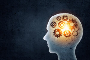 What Do We Gain by Training Our Memory?