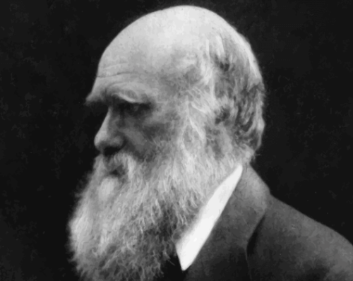 A portrait of Charles Darwin.