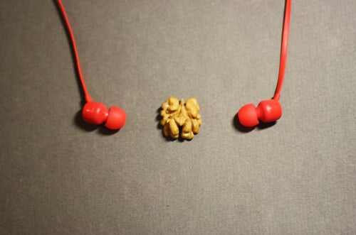 A walnut between headphones.