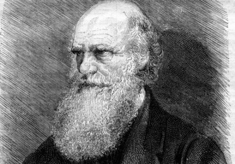 A drawing of Charles Darwin.