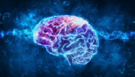 An illuminated purple and blue brain.