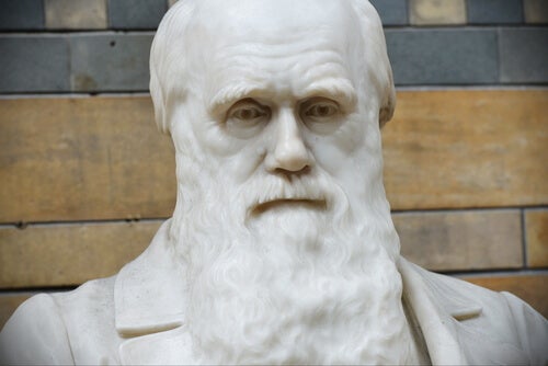 The Best Quotes from Charles Darwin