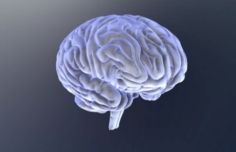 The image of a brain.