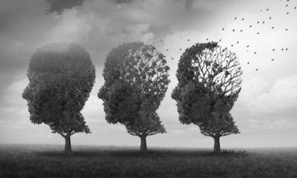 Three human heads made out of trees.