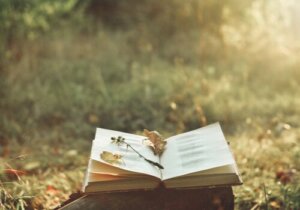 The Magic of Poetry and How it Can Ease Pain