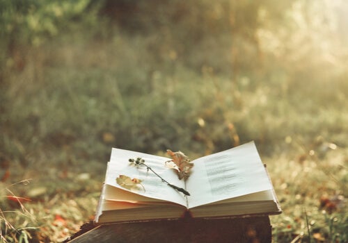 The Magic of Poetry and How it Can Ease Pain