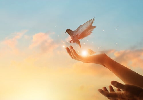 A person releasing a bird.